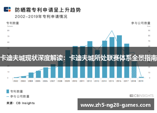 卡迪夫城现状深度解读：卡迪夫城所处联赛体系全景指南